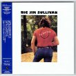 Photo1: BIG JIM SULLIVAN / BIG JIM'S BACK (Used Japan mini LP CD) (1)